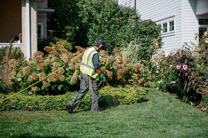 Professional Organic Mosquito & Tick Control