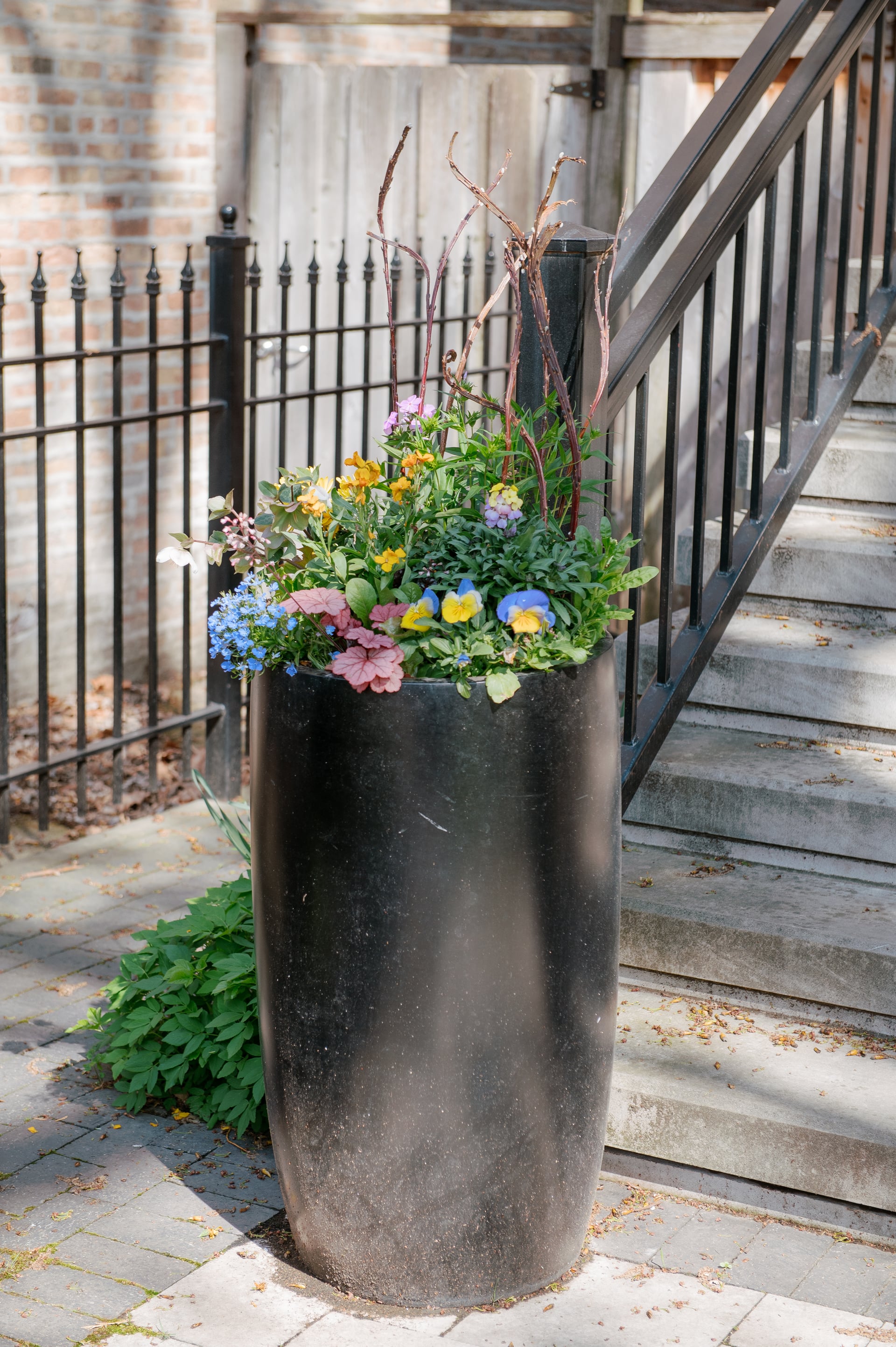 Professional Seasonal Flower Rotations