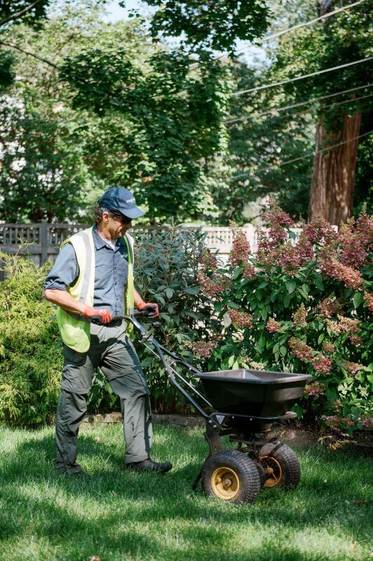 Lawn Aeration & Soil Health service