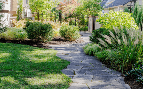 Walkway between bushes and green plantings